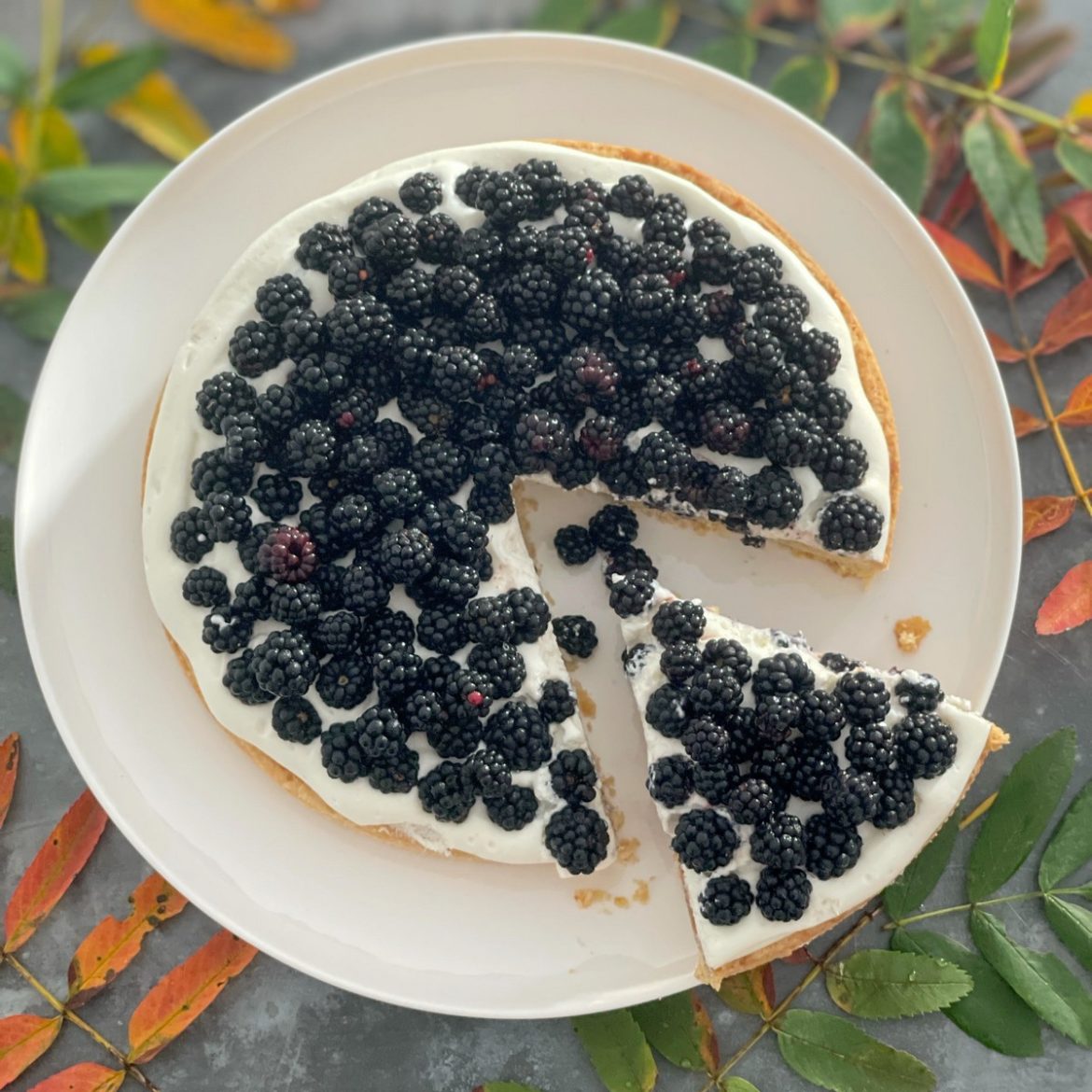 tarte aux mûres façon amandine